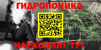 ГАЛЛЮЦИНОГЕННЫЕ ГРИБЫ Апшеронск