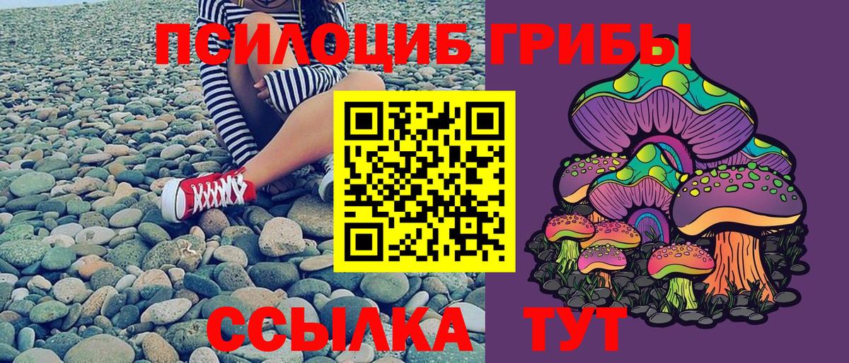 Галлюциногенные грибы Magic Shrooms  Псилоцибиновые грибы прущие грибы  продажа наркотиков  Балабаново  Вход с VPN 